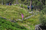 Scafell Pike-522