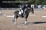 BPP_8666