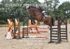 BPP_4291