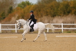 SBM_010367
