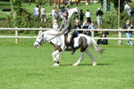 SBM_47019