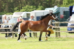 SBM_02363