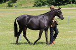 SIAL6863