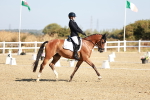 SBM_016935