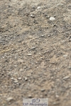 230817-095058-01677