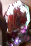 Flowers Set 08 - 42