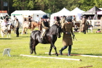 SBM_11268