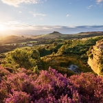 North York Moors portfolio