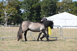WJ6_4379