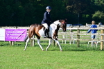SBM_11373