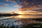 Lighting up the sky at sunset, Stoneyford Reservoir, County Antr