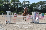 BPP_8064