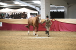SBM_05661