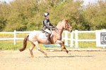 SBM_002644