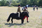 WJ6_7442