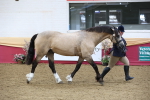 SBM_23673