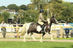 SBM_67518