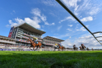 Race 5 4.10pm Assured Data Protection EBF Fillies' Handicap portfolio