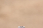 240706A-123140-01726