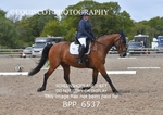 BPP_6537
