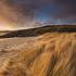 Late Afternoon at Achmelvich Beach