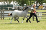 SBM_02381
