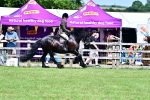 SBM_07995