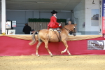 SBM_13875