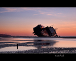 Beached