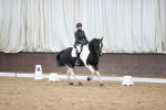 SBM_008716