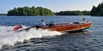 Whippet23-3619
