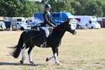 WJ6_8207