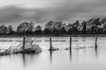 River Frome Floods, Dorchester, Dorset