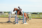 SBM_003215