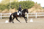 SBM_003458