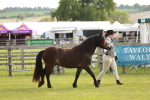 SBM_00383