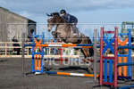 Senior Showjumping_10-11-2019-9