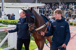 241025-Race 1-Whatsupwithyou-7955