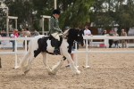 SBM_14625