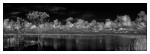 Lake Apopka II - Lake County