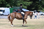 WJ7_3634