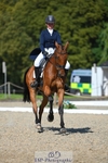 253-MY_EASTWOOD_BRIGHTSIDE-Darcy_Zander-WEDTrotUp+DR portfolio