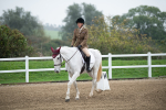 SBM_003464