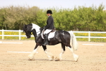 SBM_007489