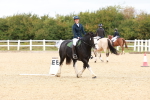 SBM_000904