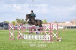 BPP_6489