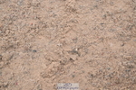 241006A-124541-07288