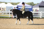 SBM_00503
