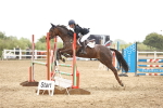 SBM_001798