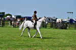 SBM_03804
